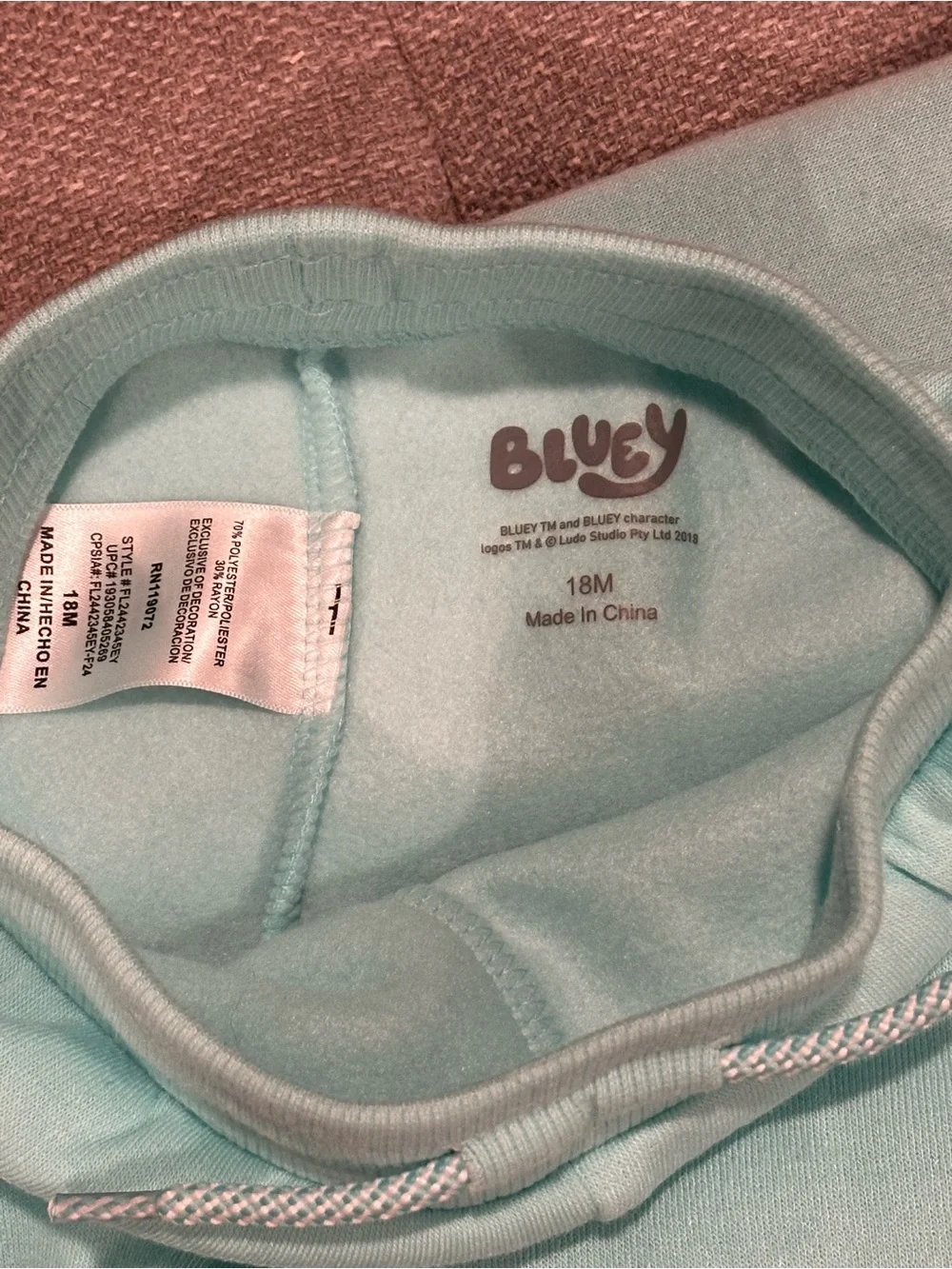 Bluey & Bingo Teal Hoodie and Jogger Set